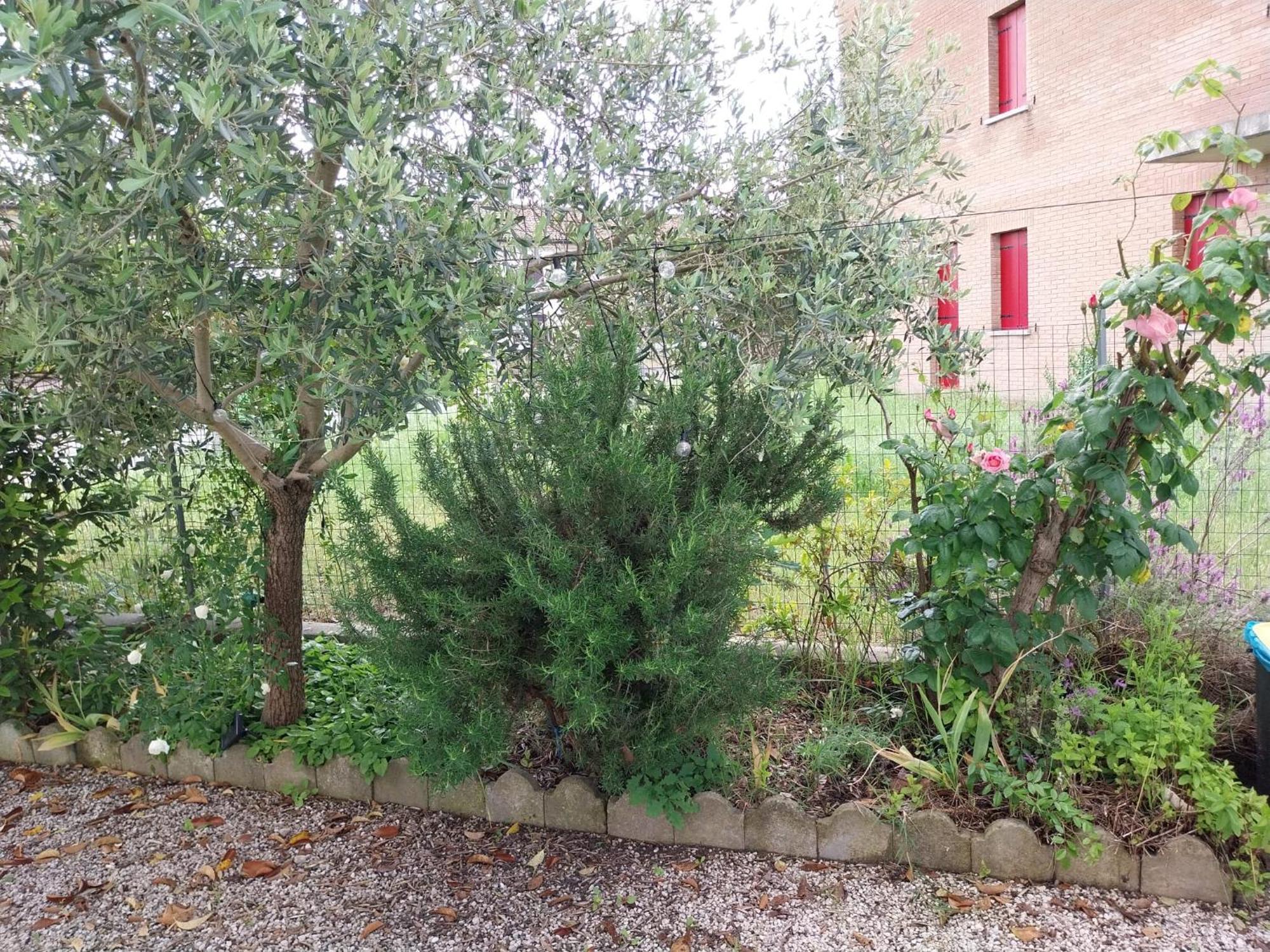 Casita Esperanza Apartment Copparo Exterior photo